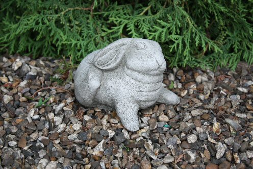 KA203 Itchy Bunny KA203 Itchy Bunny